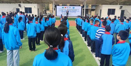 西航二中最新爆料事件,校园事件引发热议  第1张