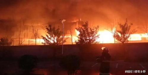 南阳爆料最新事件视频,视频揭露惊人真相，网友热议不断